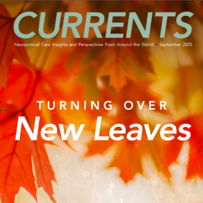 Introducing the 2025 Annual Issue of 'Currents'