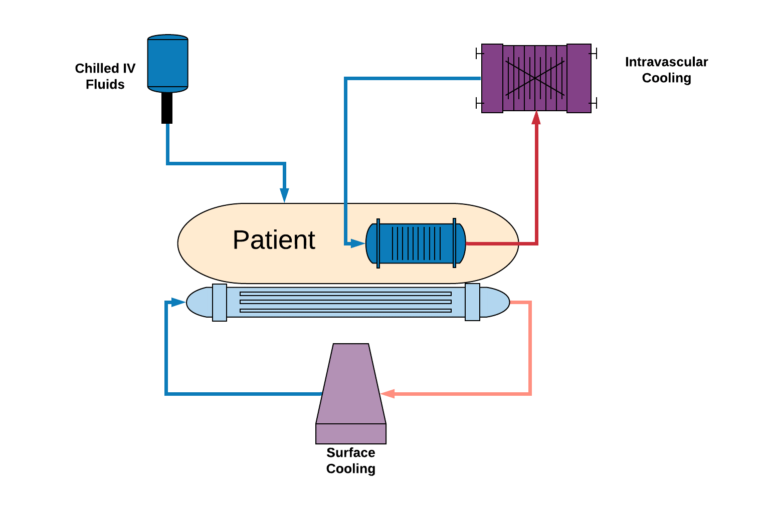 Cooling Techniques and Devices for Targeted Temperature Management in ...